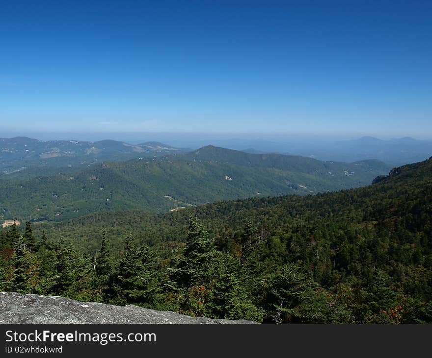 Along the trail at Grandfather mountain in North Carolina. Along the trail at Grandfather mountain in North Carolina