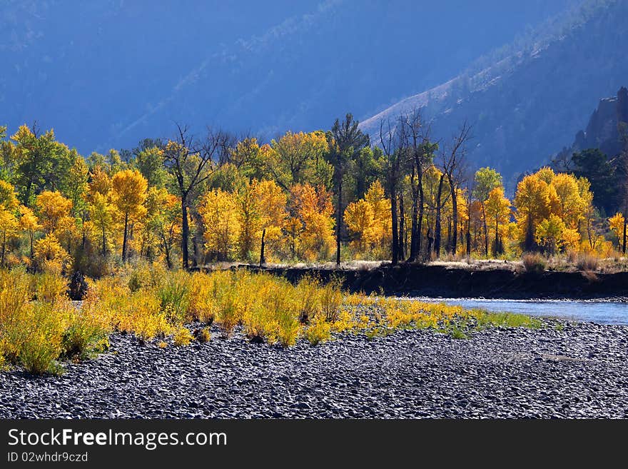 Scenic autumn landscape in North west Wyoming