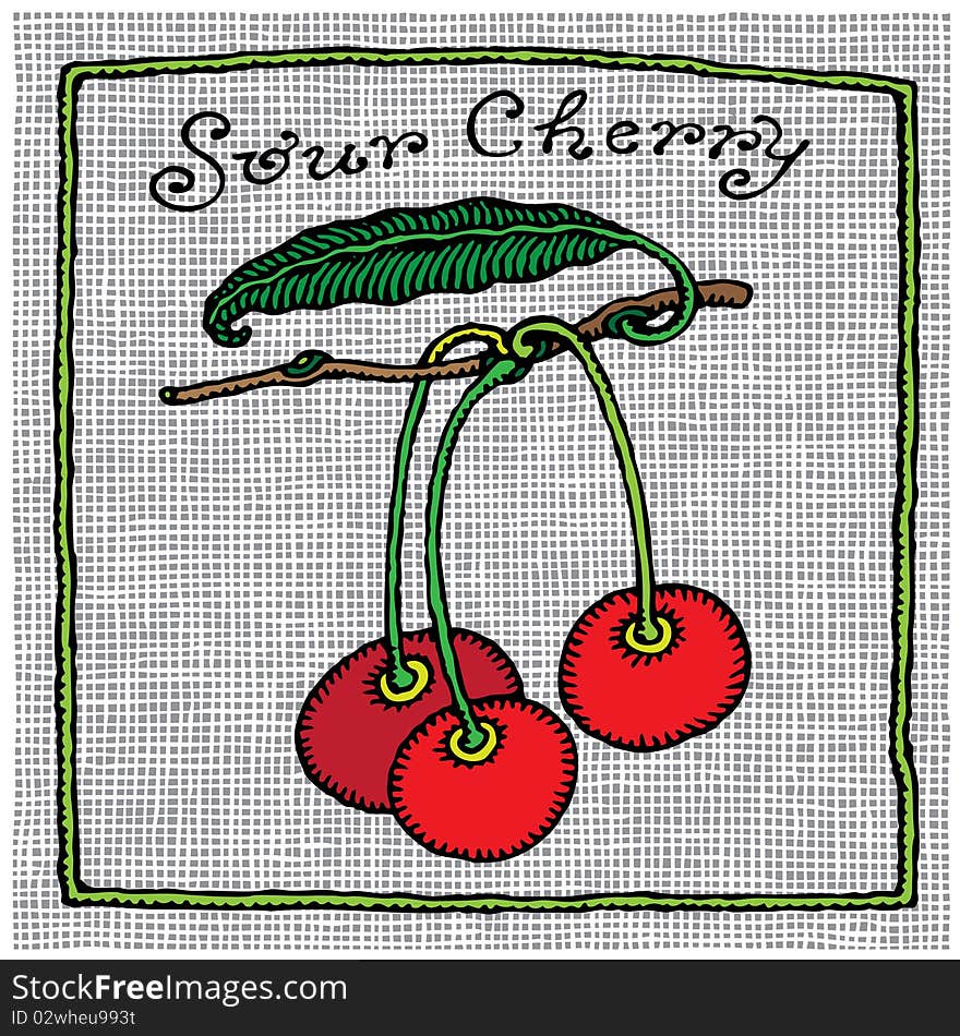 Sour cherry label woodcut