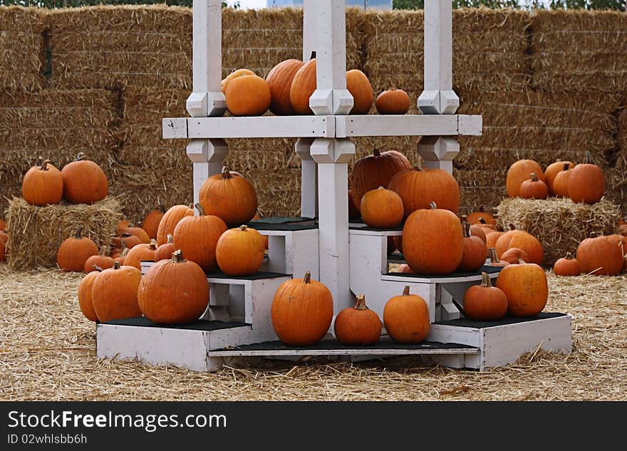 Seasonal Orange Pumpkins Display