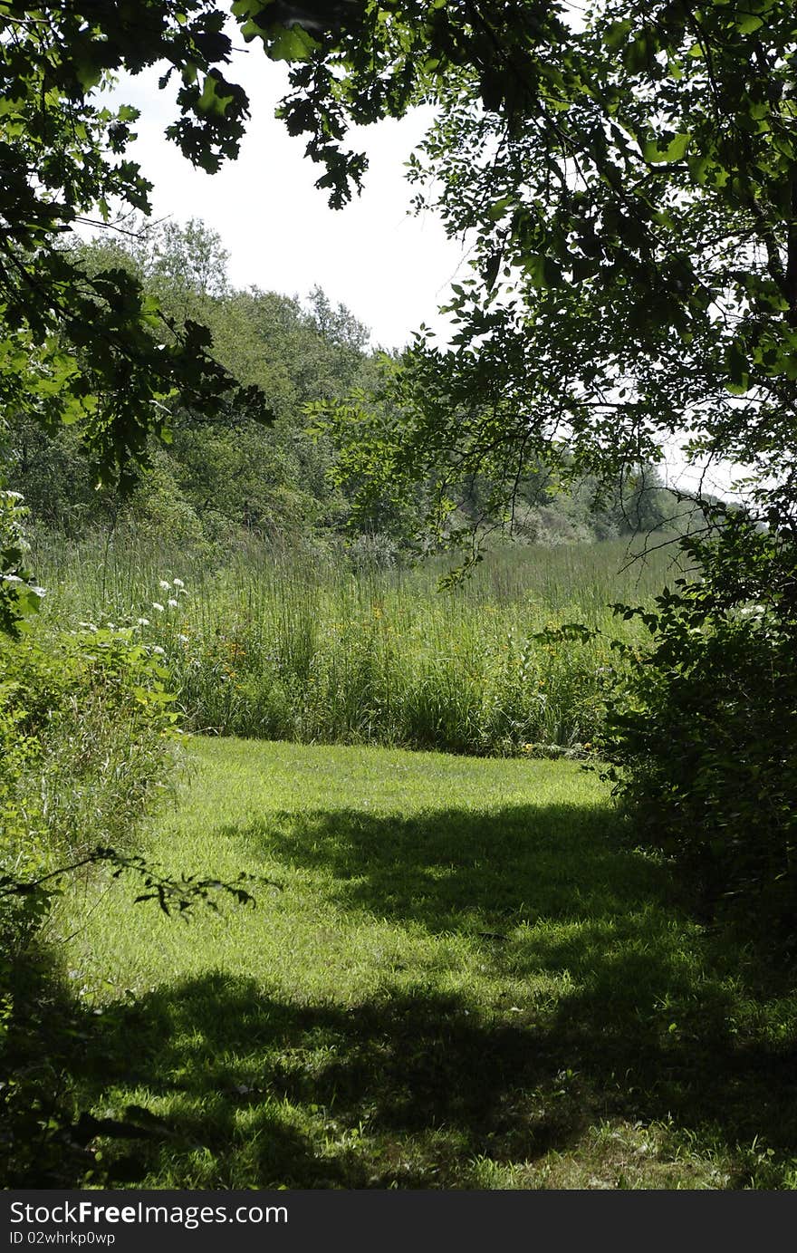 A lush prairie framed by green leaves. A lush prairie framed by green leaves