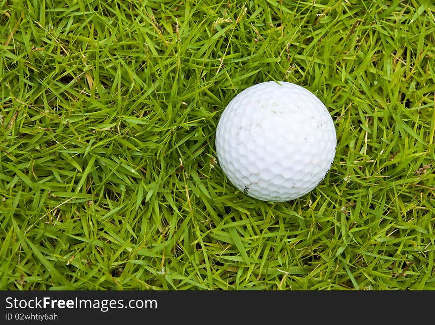 Golf on green field