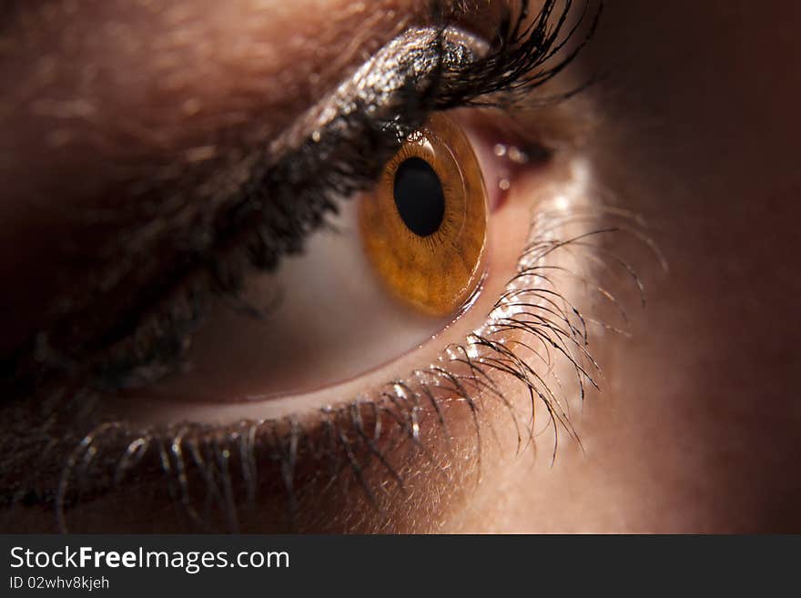 Woman`s brown eye peeping in darkness