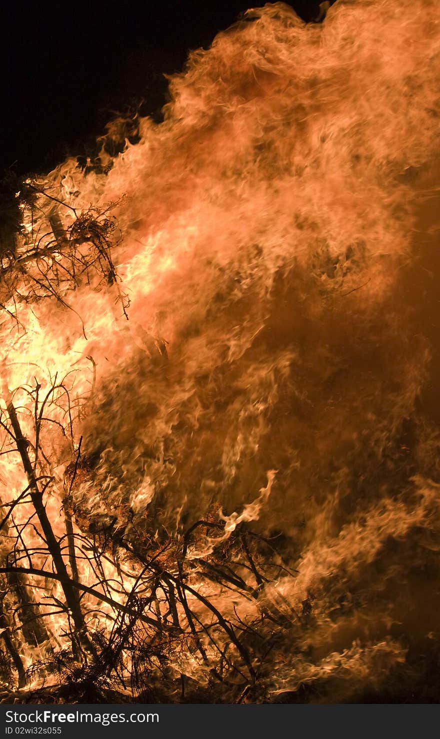 Closeup of the blazing fire of dry forest.