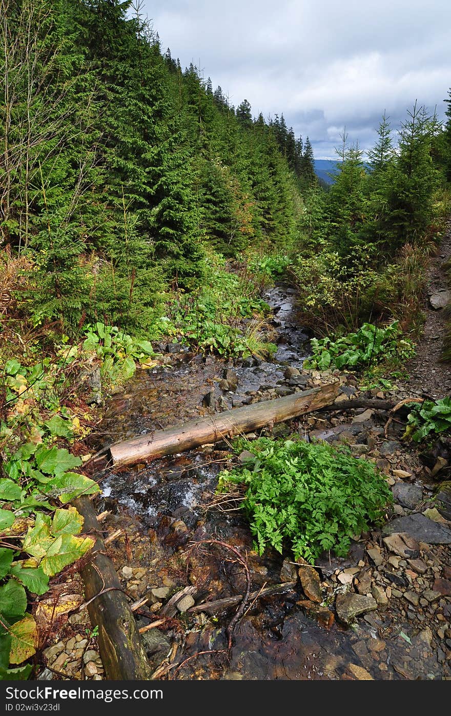 A Mountain Stream.