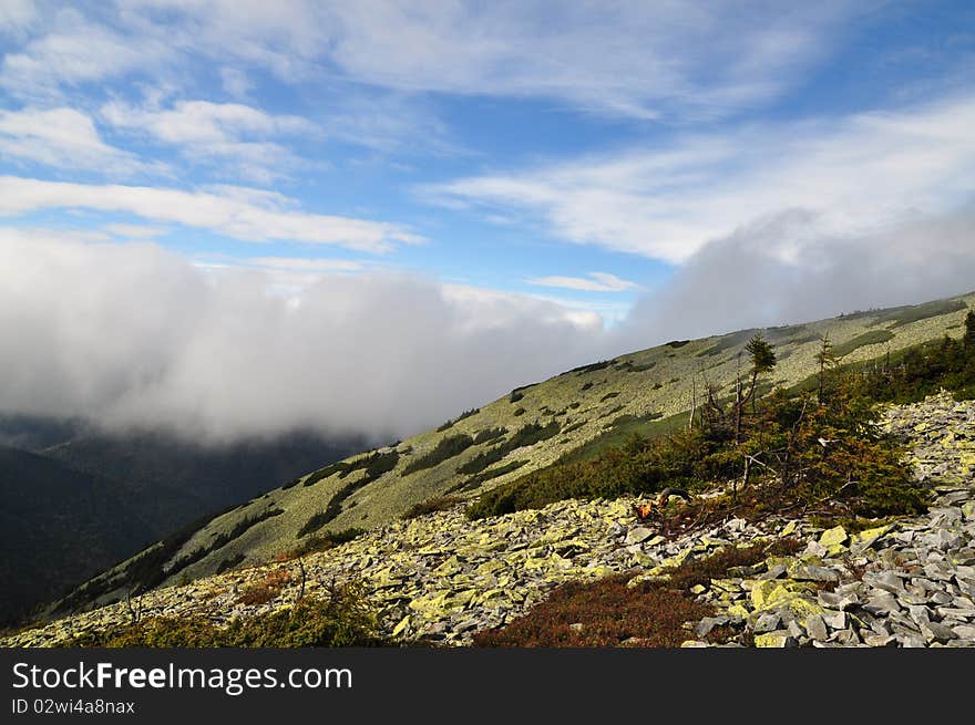 Fog on a hillside.