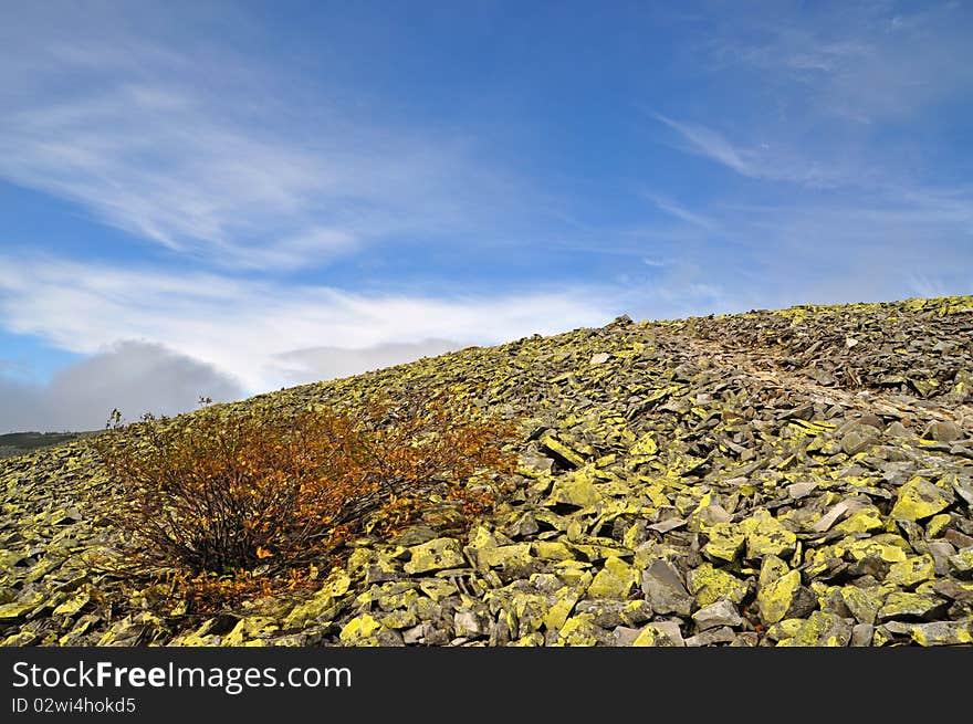 A stone hillside in a landscape under the dark blue sky. A stone hillside in a landscape under the dark blue sky.