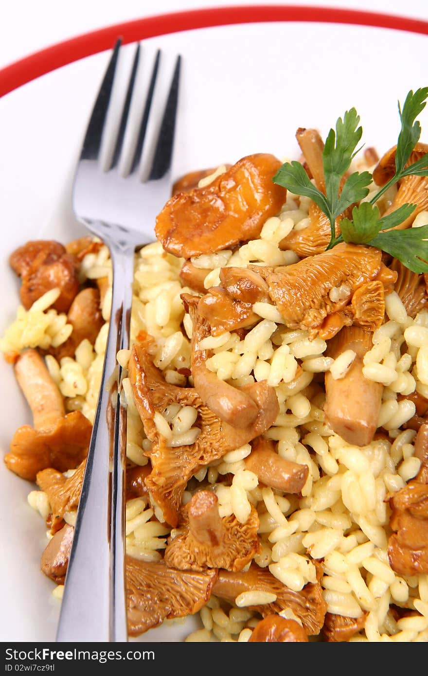 Risotto with mushrooms on a plate decorated with parsley and a fork