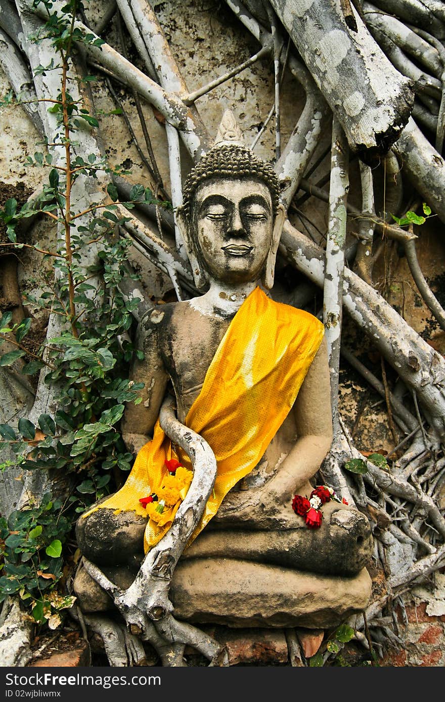 Buddha Image Ayudhya Thailand