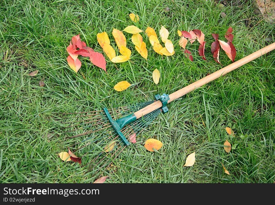 Fallen red and yellow leafs making word autumn