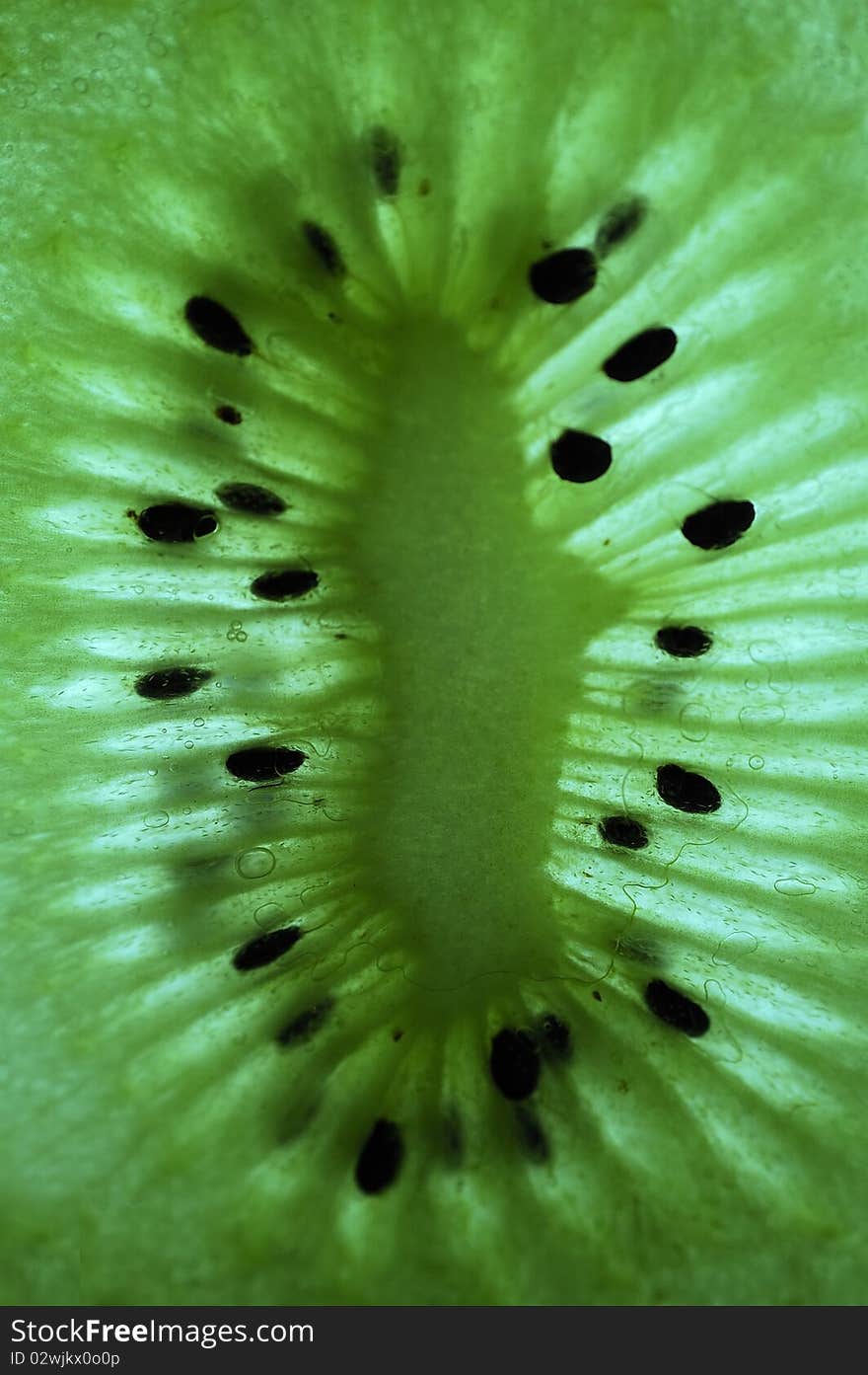 Kiwi close-up