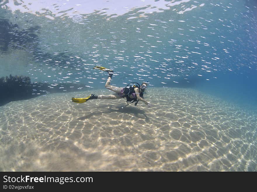 Adult Female scuba diver in bikini diving in shallow tropical water