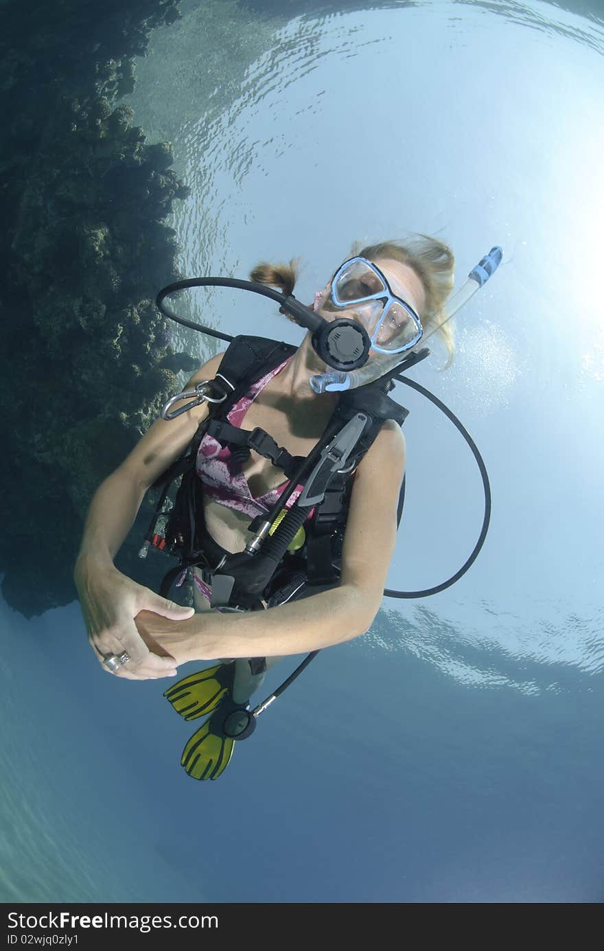 Adult Female scuba diver in bikini diving in shallow tropical water