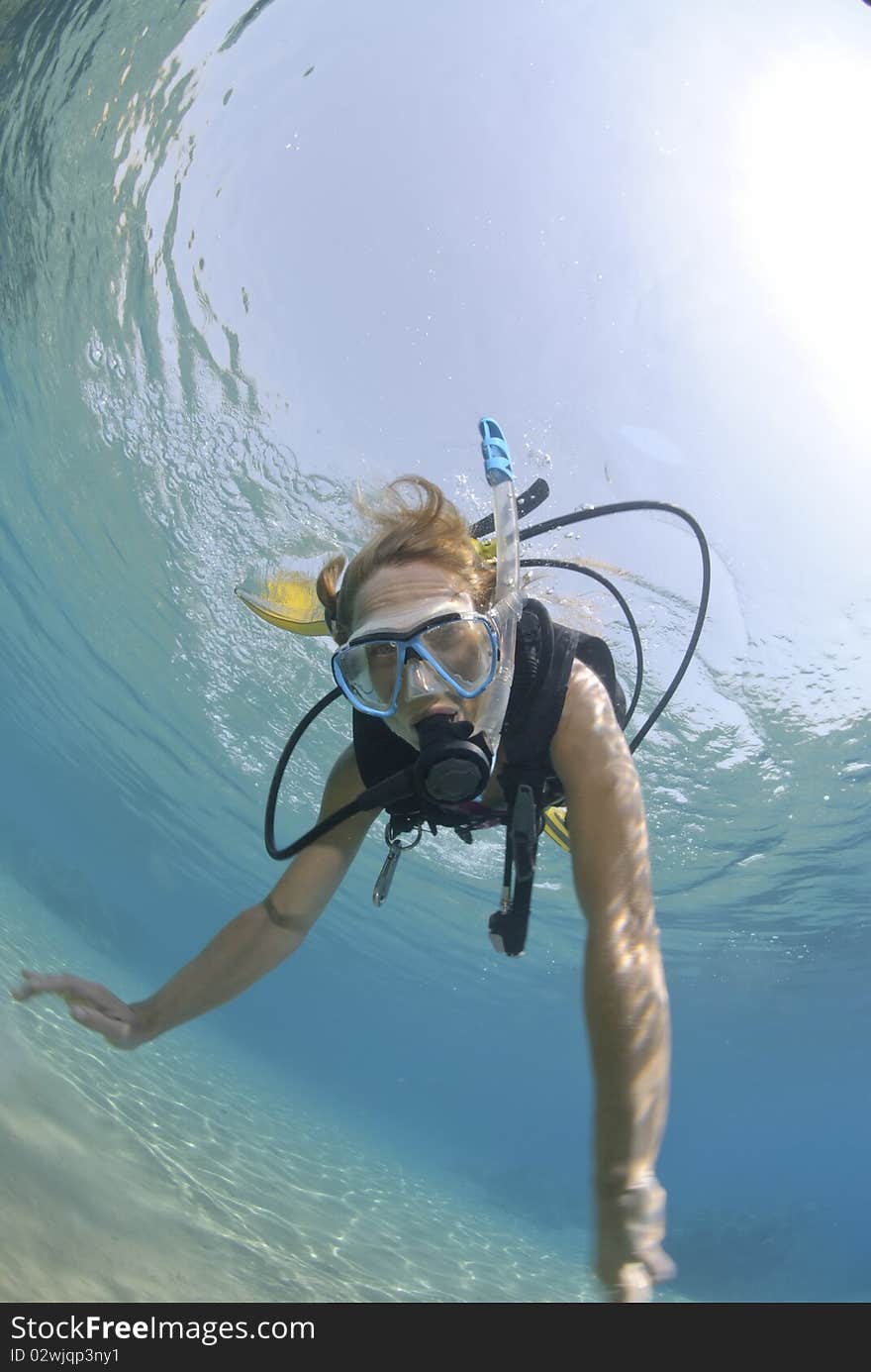 Adult Female scuba diver in bikini diving in shallow tropical water