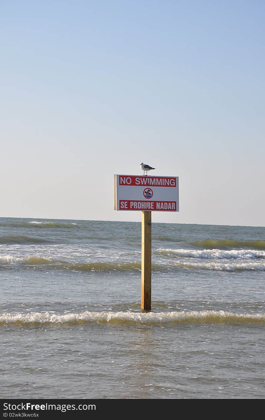 No swimming sign with symbol on a post with a seagull perched on top in the ocean. No swimming sign with symbol on a post with a seagull perched on top in the ocean