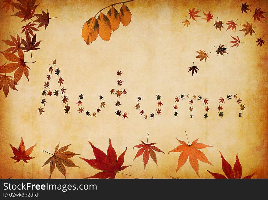 Grunge background with autumn letters made by leaves. Grunge background with autumn letters made by leaves