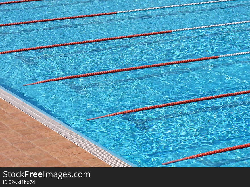 Swimming lane markers of a swimming pool