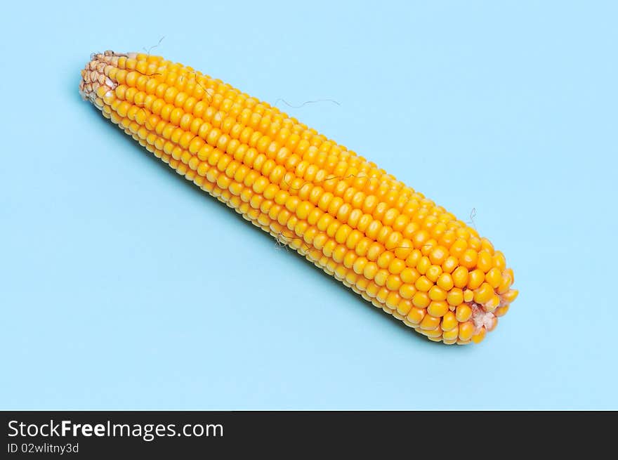 closeup of dry yellow corn.