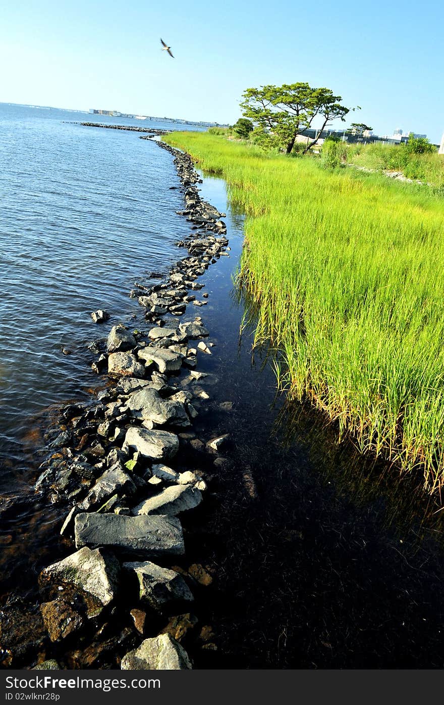 Grassy coast line with rock barrier