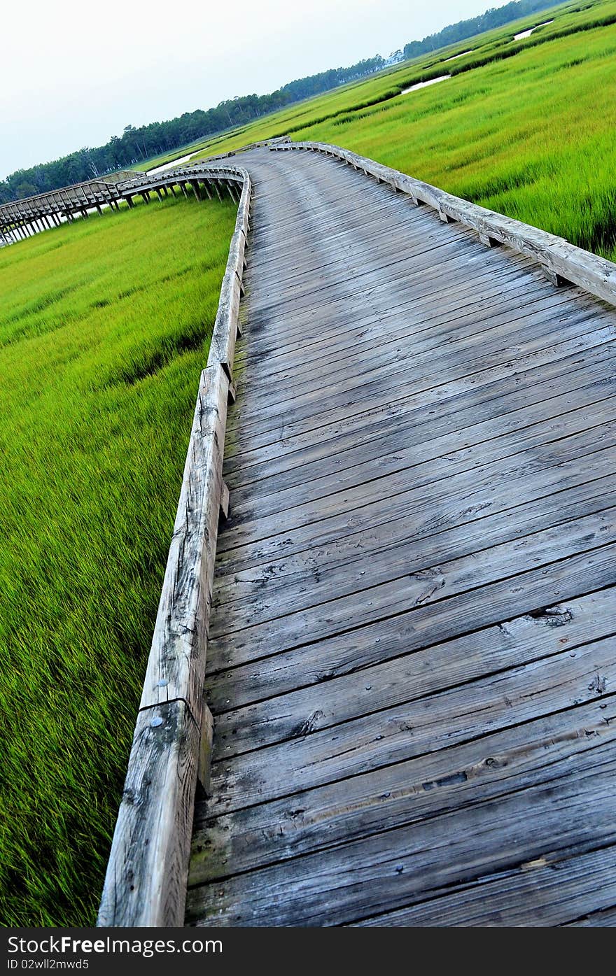 The world's longest cart bridge, over grassy marsh land outside of Ocean City Maryland. The world's longest cart bridge, over grassy marsh land outside of Ocean City Maryland.