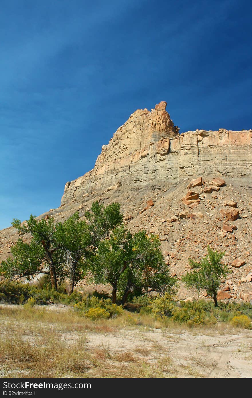 Green trees and yellow flowering plants growing in front of a large dry rocky butte in Trail Canyon, Utah. The butte is set against a rich-blue sky. Green trees and yellow flowering plants growing in front of a large dry rocky butte in Trail Canyon, Utah. The butte is set against a rich-blue sky.