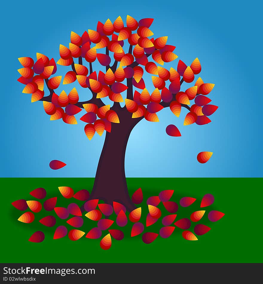 A tree in autumn/fall with fallen leaves on the ground. A tree in autumn/fall with fallen leaves on the ground.