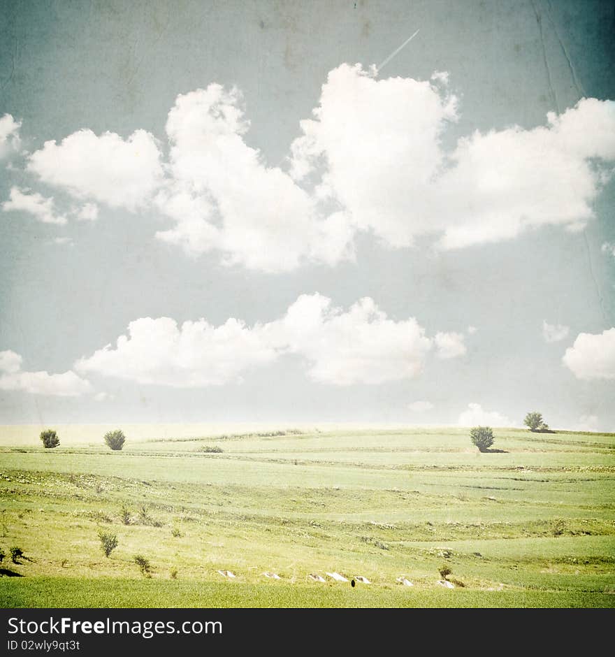 Green field and blue sky