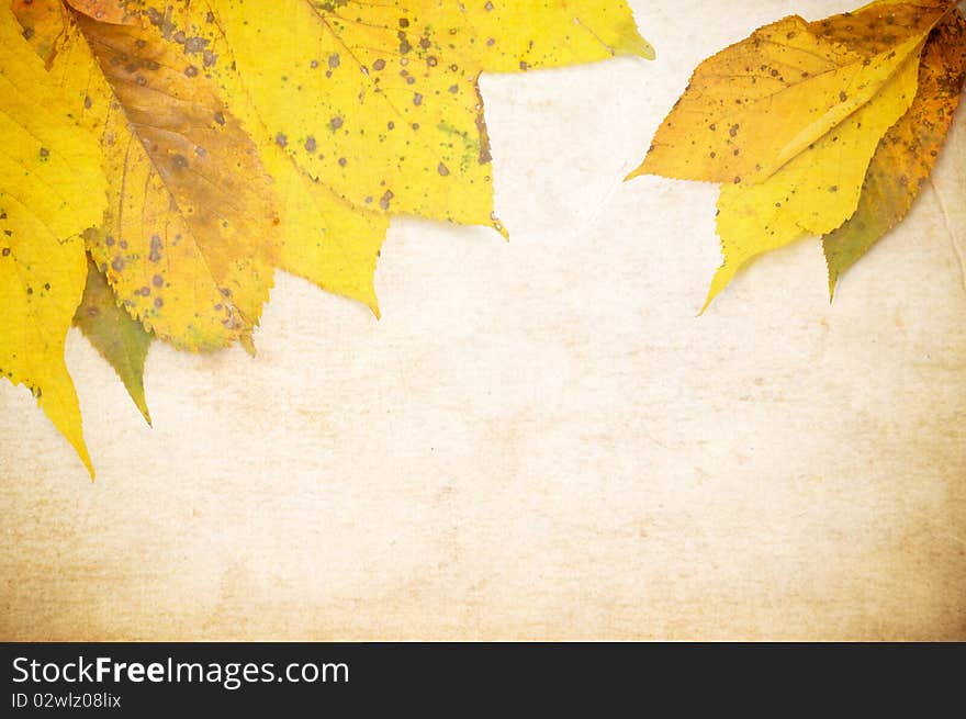 Grunge background with autumn leaves and copy space