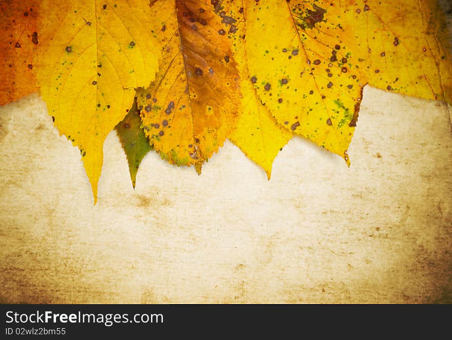 Grunge background with autumn leaves and copy space