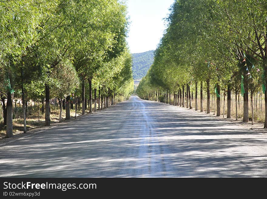 This is taken in shanxi province in fall season. This is taken in shanxi province in fall season