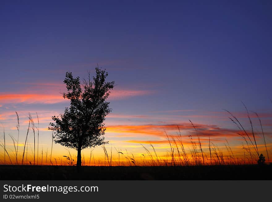 In the evening, the sky and the clouds show beautiful colour. In the evening, the sky and the clouds show beautiful colour