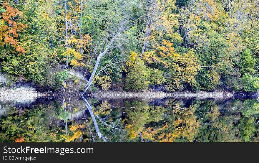 Beautiful autumn nature landscape near river with reflection