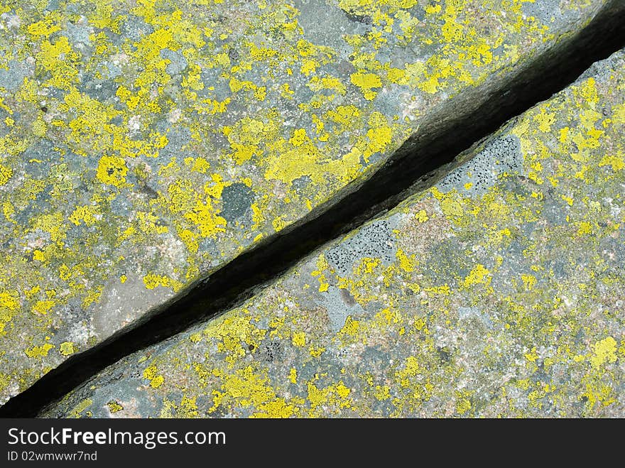 The grey stone with a green moss.