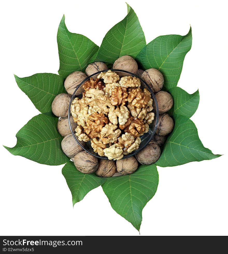 Walnut nuts on white background. Walnut nuts on white background