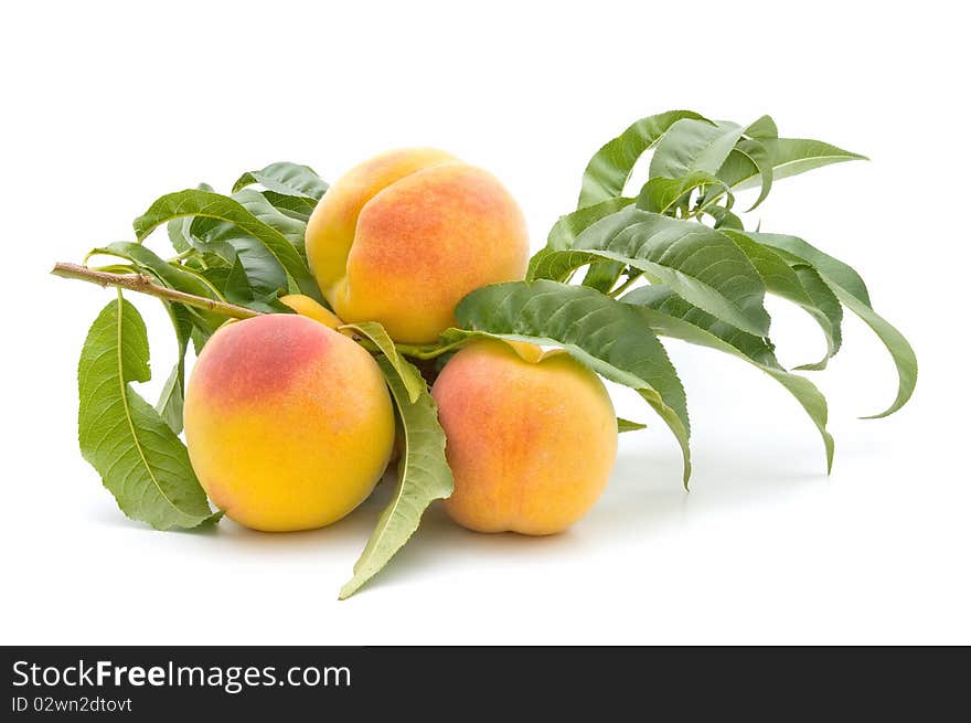 Ecological peaches