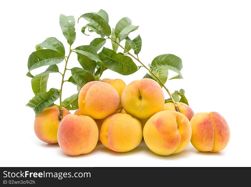 Ecological peaches isolated on white background. Ecological peaches isolated on white background