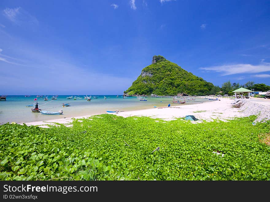 Beach tourism with a green weed on the beach.