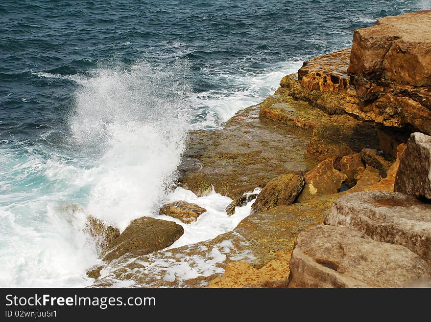 Splashing Coast