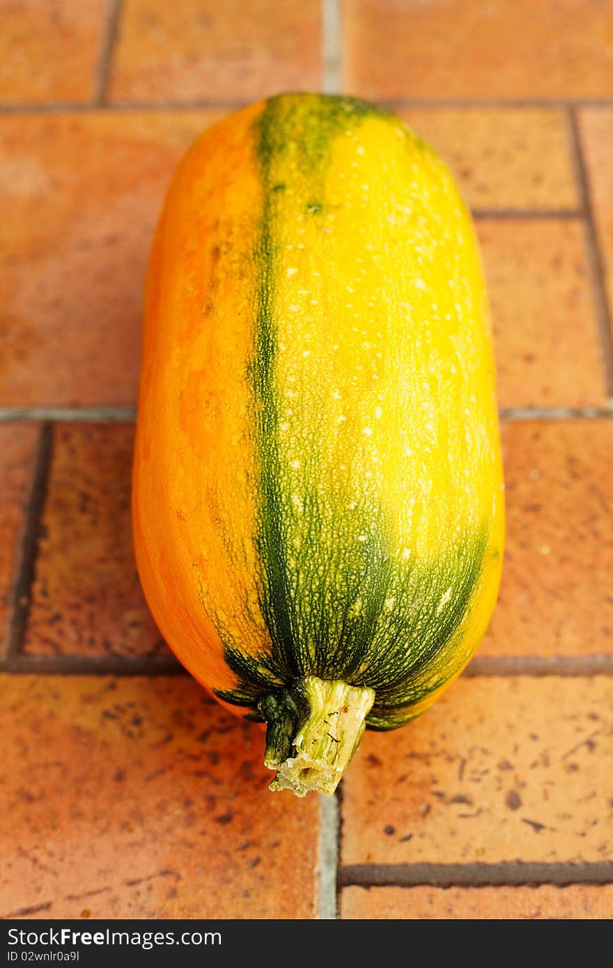 Fresh pumpkin