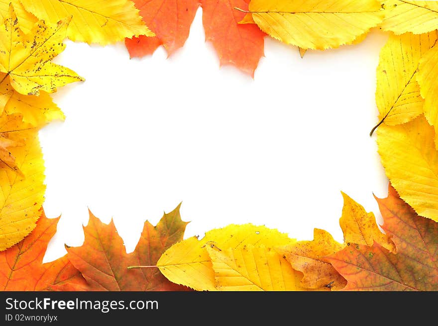 Autumn card of colored leafs isolated over a white background. Autumn card of colored leafs isolated over a white background