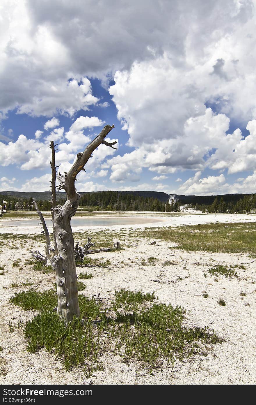 Yellowstone