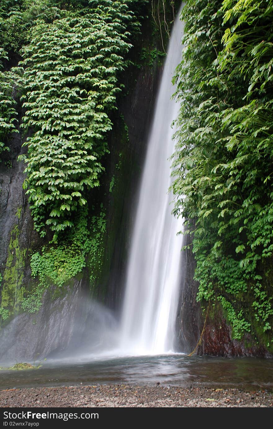 A waterfall in the foresty landscape of Bali. A waterfall in the foresty landscape of Bali