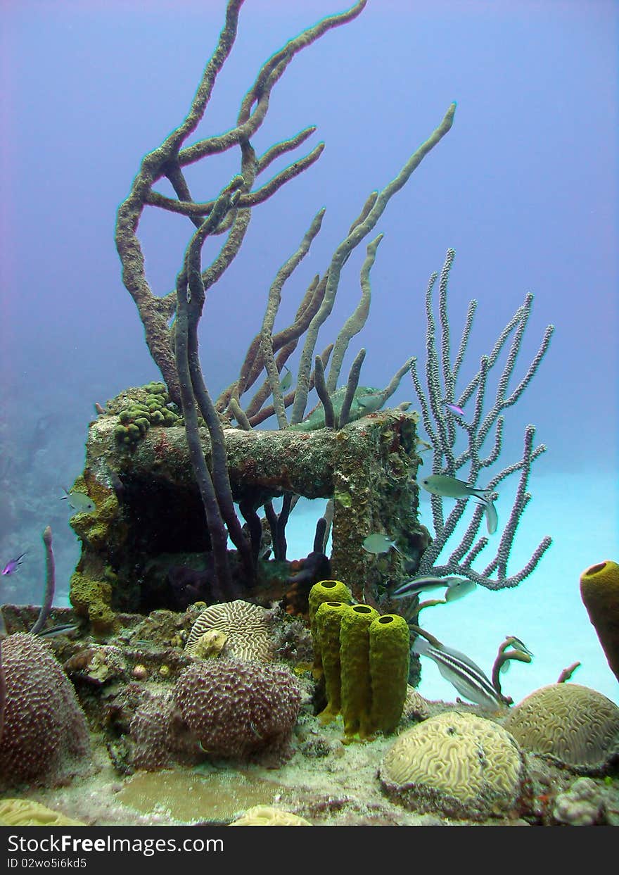 This is a colorful coral reef scene, on the edge of a small wreck, all within a beautiful blue ocean.