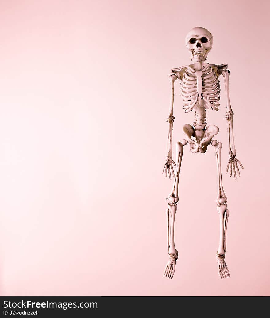 Skeleton on a Red Background