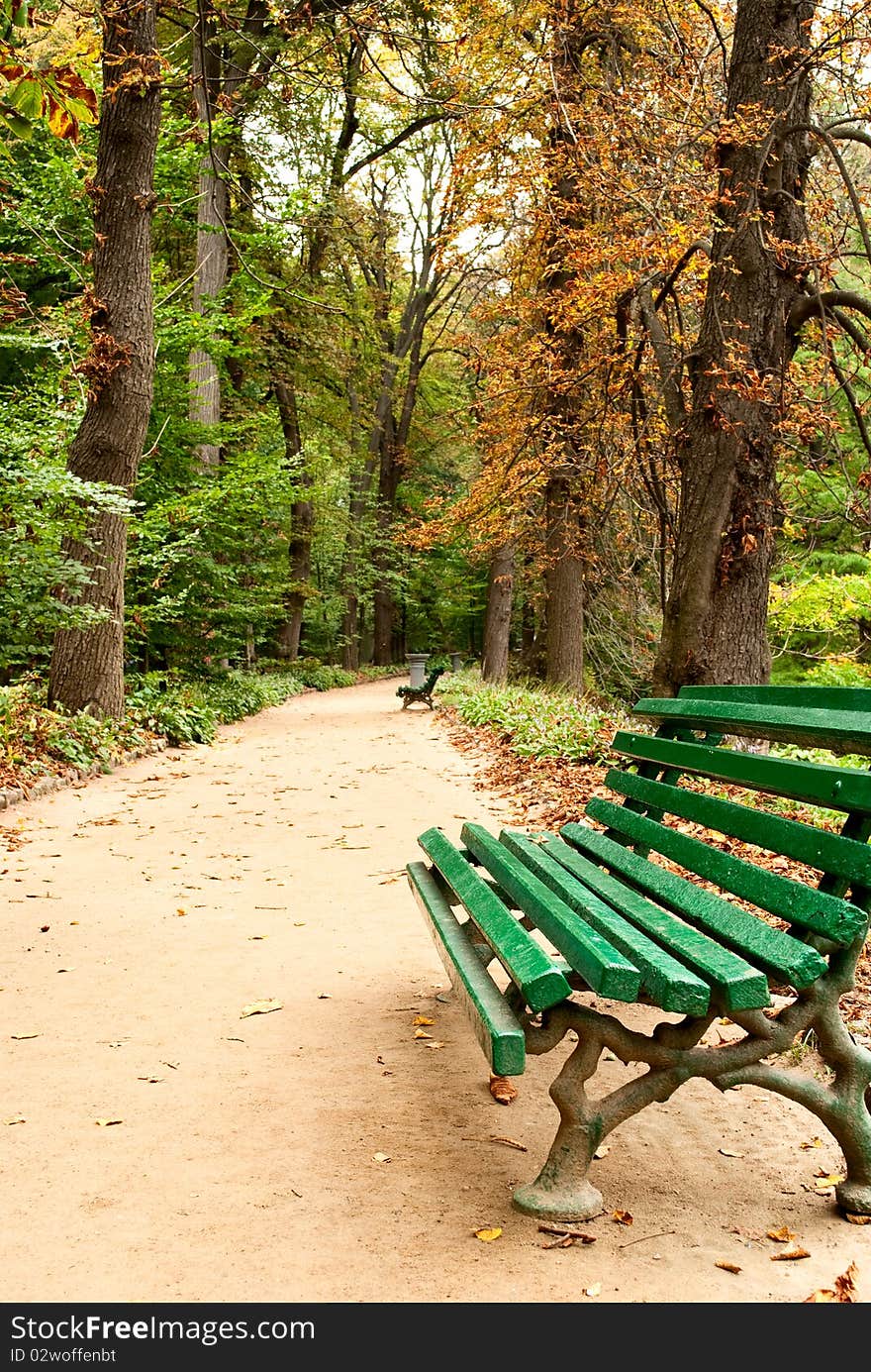 Benches in the park