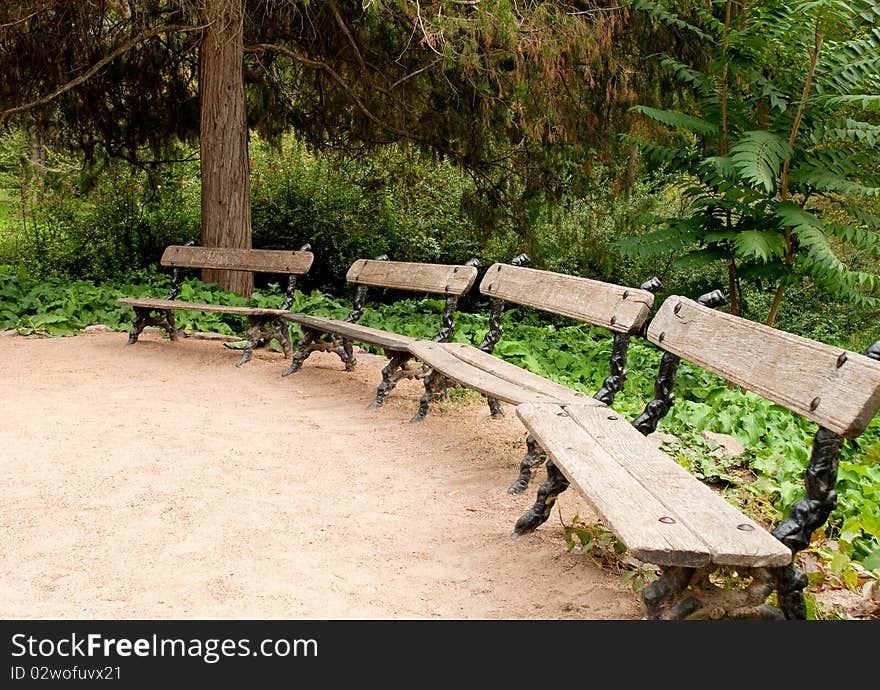 Benches in a beautiful park. Benches in a beautiful park