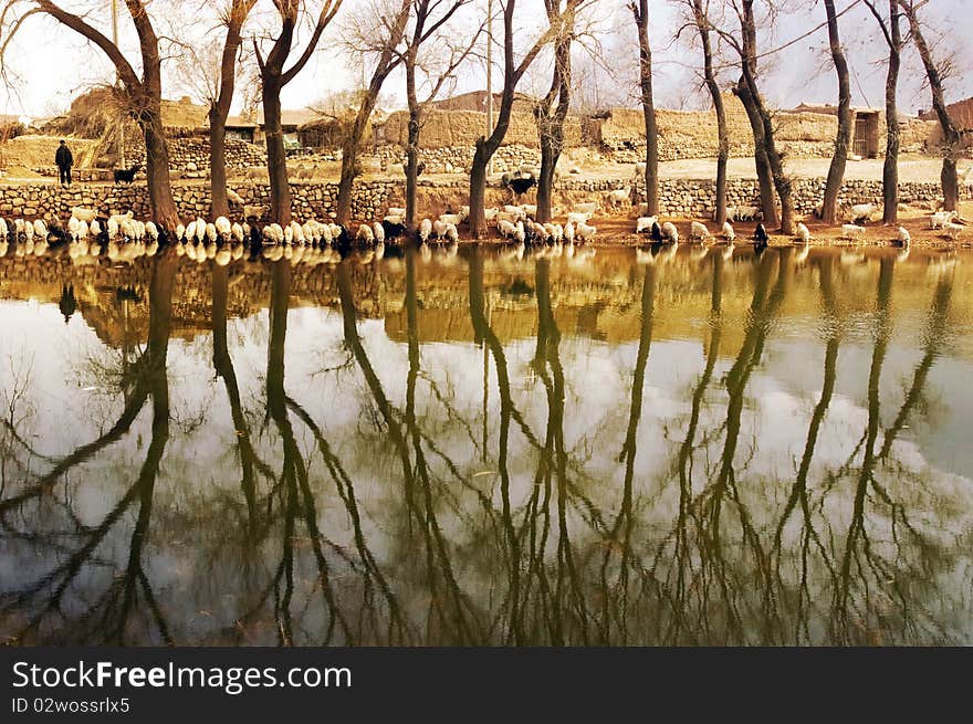 The reflection of old village. The reflection of old village.