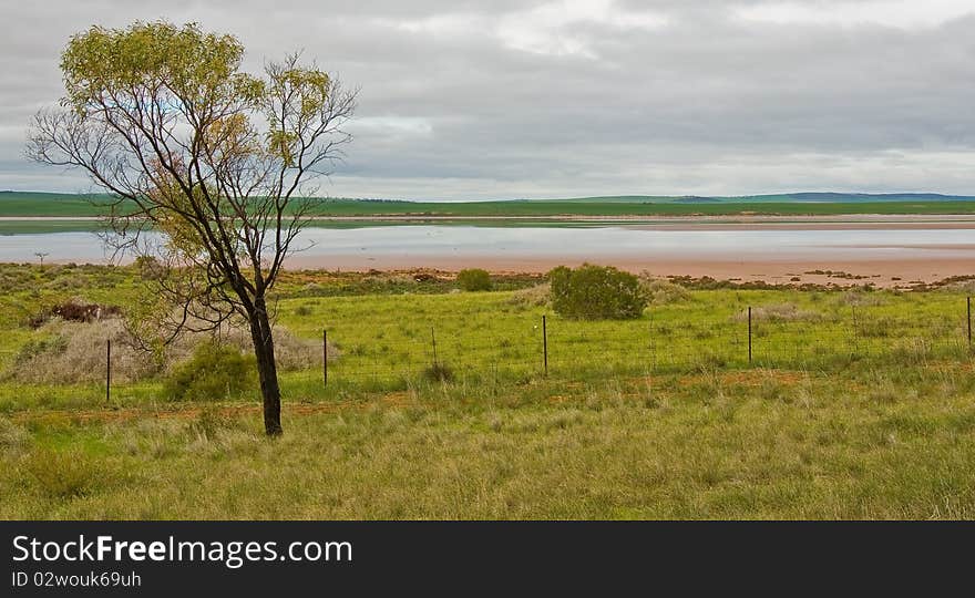 Hill and grass in the australian landscape, south australia