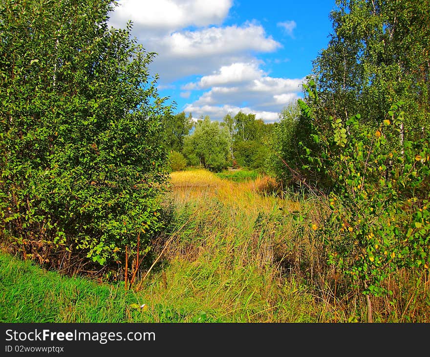 Autumn Nature, a small forest lake