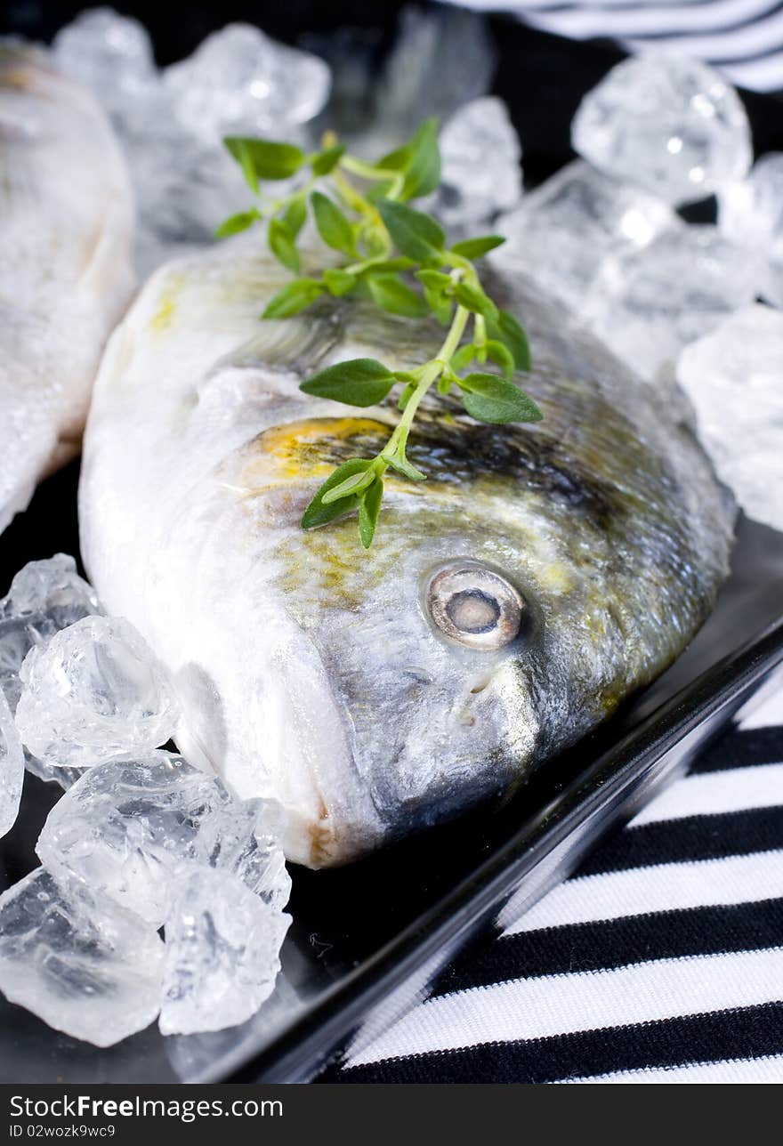 Gilt-head bream on ice